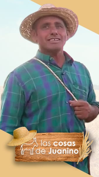 Las Cosas de Juanino