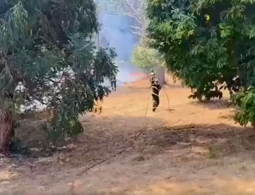 DISPOSITIVO DE BOMBEROS DE CÁDIZ ACTÚA EN OURENSE
