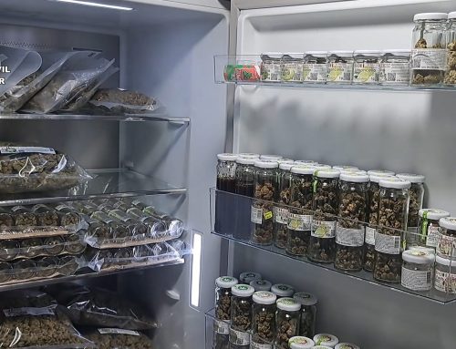 NUEVA OPERACIÓN DE LA GUARDIA CIVIL PARA EL CONTROL DE LAS ‘CBD SHOP’