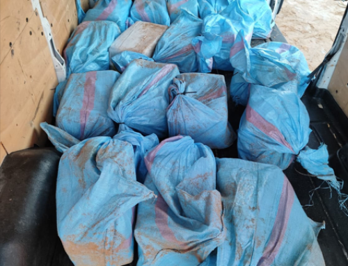 DOS DETENIDOS EN BARBATE EN UNA OPERACIÓN CONTRA EL NARCOTRÁFICO